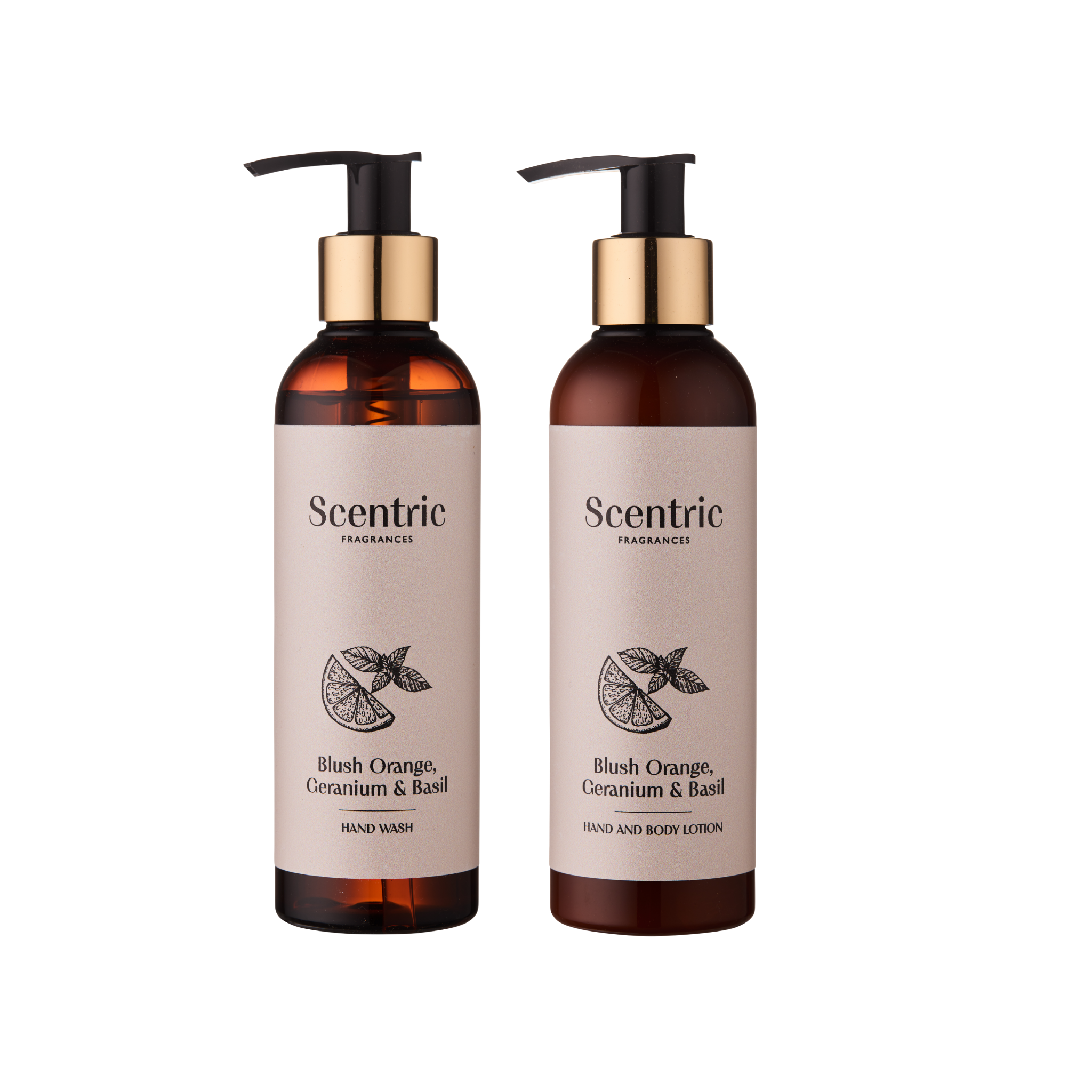 Precious Palms Gift Set | Natural Hand Wash & Lotion