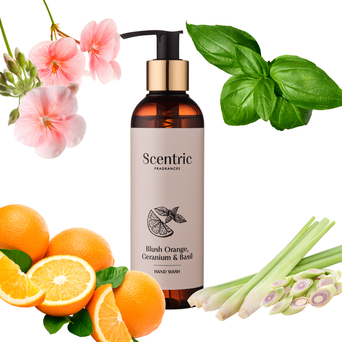 Blush Orange, Geranium & Basil Hand Wash