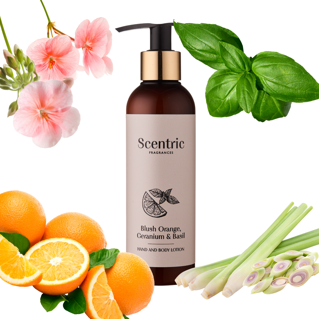 Blush Orange, Geranium & Basil Hand & Body Lotion 200ml