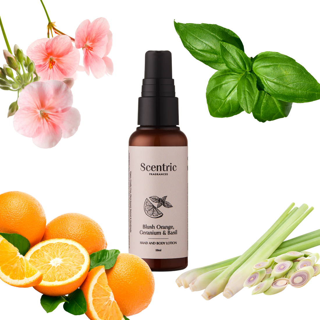 Blush Orange, Geranium & Basil Hand & Body Lotion 50ml