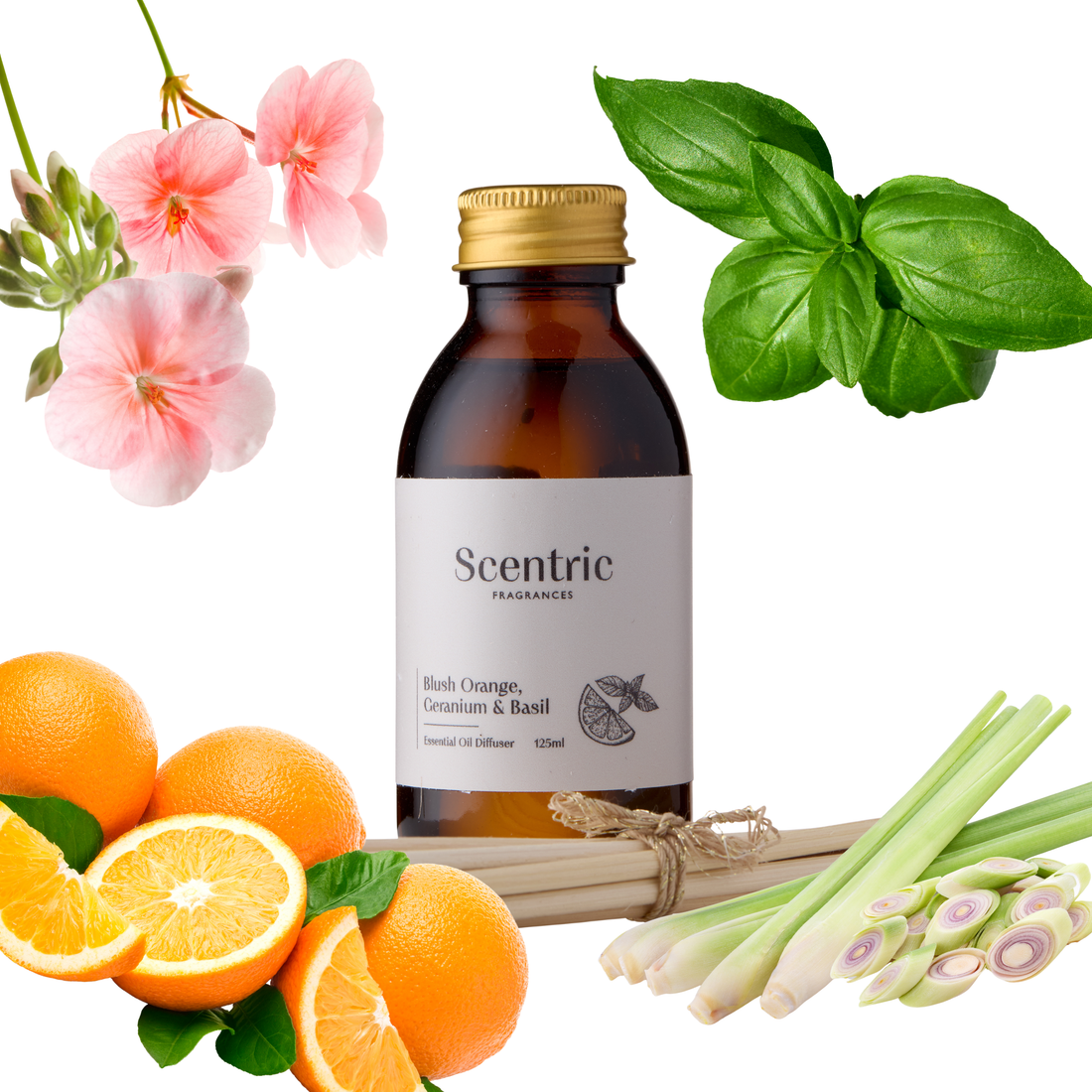 Blush Orange, Geranium & Basil Reed Diffuser