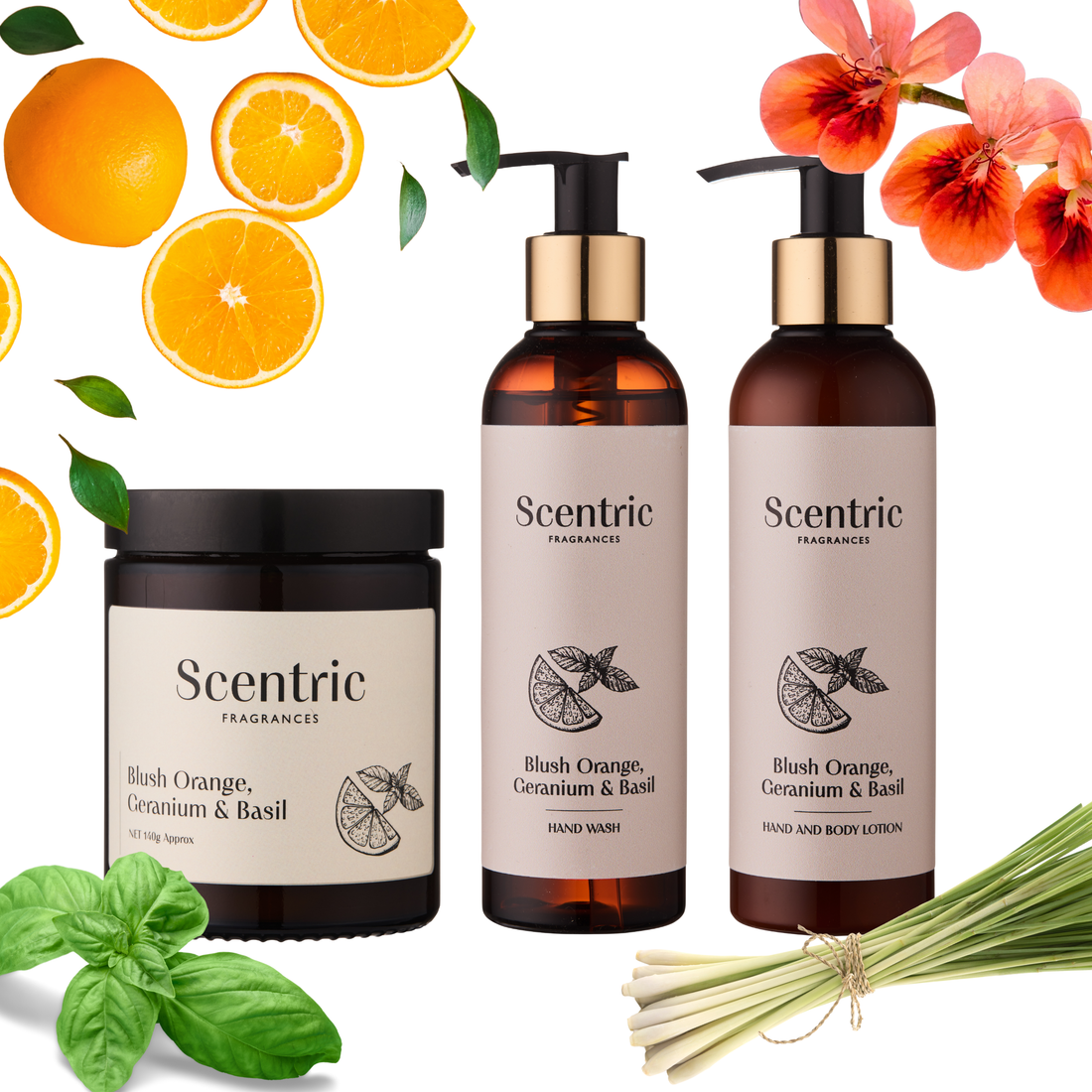 Blush Orange, Geranium & Basil Collection
